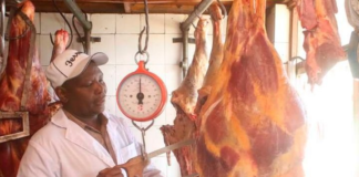 Kenyan meat exporters count KSh1bn losses as Iran-Israel conflict disrupts Middle East trade