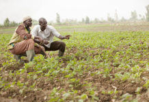 Farmers in Nakuru, Kenya to benefit from CSA training Farmers in Nakuru, Kenya to benefit from CSA training
