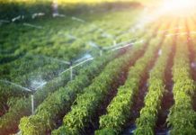 Kenya’s Tharaka Nithi County partners with KCSAP to boost agriculture Nigeria seeks US $36M to fund SAPIP project