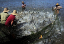 EU court annuls farming, fishing ties with Morocco EU court annuls farming, fishing ties with Morocco