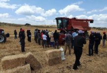 Case IH harvesting and hay equipment impresses farmers in Kenya