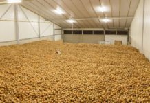 Rwanda to host virtual global summit on clean refrigeration Rwanda to host virtual global summit on clean refrigeration