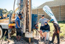 Bellville’s first urban food garden spring harvest Bellville’s first urban food garden spring harvest