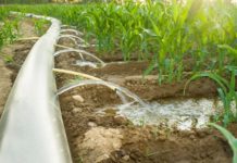 Nigeria, FAO ink U.S $350,000 pact irrigation funding Nigeria, FAO ink U.S $350,000 pact irrigation funding