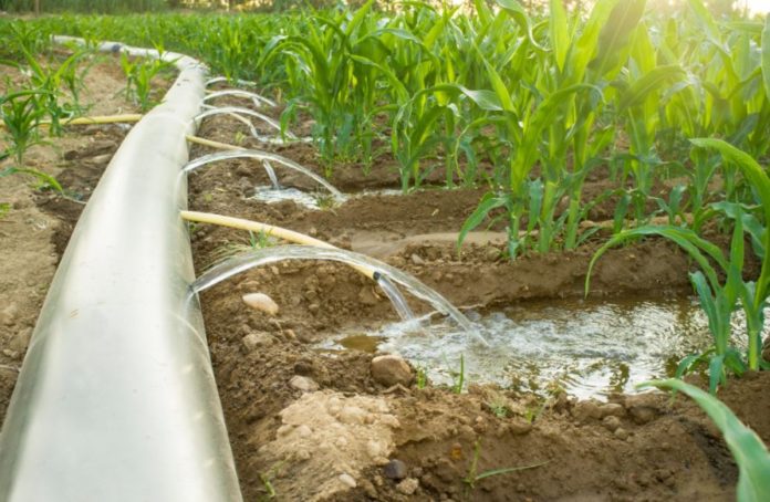 Nigeria, FAO ink U.S $350,000 pact irrigation funding