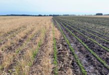 8,000 Niger farmers educated on best agronomic practices 8,000 Niger farmers educated on best agronomic practices