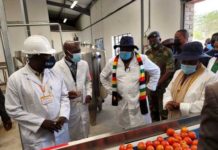 Zimbabwe President opens US$1m fruit, vegetable processing plant in Rural Mutoko