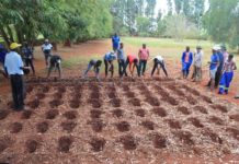 20 000 Bulawayo urban farmers to receive govt farming inputs