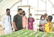 Releaf Partners with IITA to Improve Growth and Sustainability in Oil Palm Production