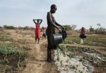 South Sudan, FAO launch project to boost food security South Sudan, FAO launch project to boost food security
