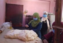 High-level UN delegation to visit farmers and review progress of rural development projects in Egypt