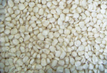 Zimbabwe to take white maize to Senegal Zimbabwe to take white maize to Senegal