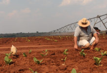 Zimbabwe Bank To Pay Evicted White Farmers US$10 000 Each