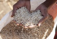 Ahead of global climate talks, public development banks join forces to boost investments in sustainable food systems