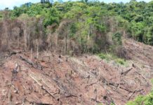 Mozambique becomes first country to receive emission reductions payments Mozambique becomes first country to receive emission reductions payments