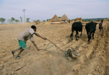Zim to give 2.3m farmers with free farming inputs