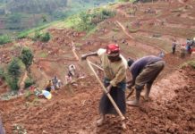Migori farmers in Kenya receive agricultural farm inputs Migori farmers in Kenya receive agricultural farm inputs