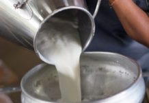 Uganda to sell milk to Zambia after Kenya dithers Uganda to sell milk to Zambia after Kenya dithers