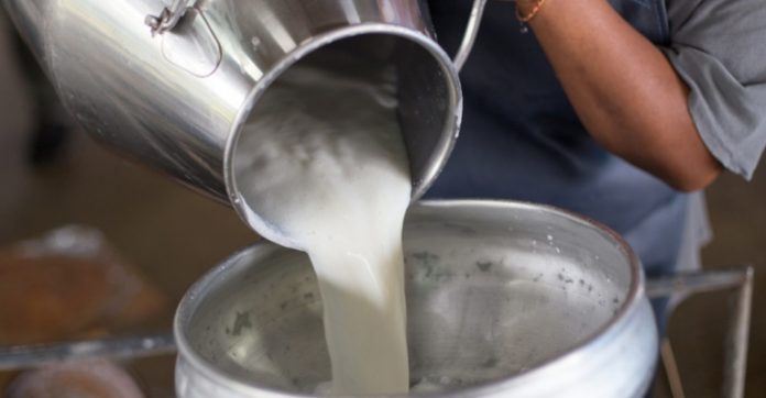 Uganda to sell milk to Zambia after Kenya dithers