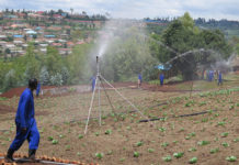 US $250M to be invested in agro areas in Tanzania US $250M to be invested in agro areas in Tanzania