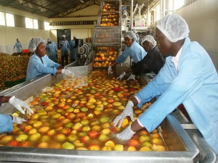 Togo inaugurate first fruit and vegetable processing unit