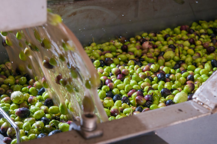 Tunisia receives €6.2M for olive-oil production