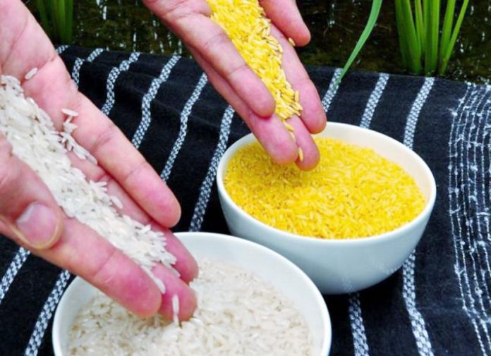 EU withdraws GMO rice from India
