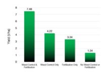 Smart weed control can soften the blow of high fertilizer costs