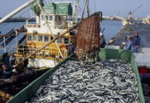 Namibia to use drones in fight against IUU Namibia to use drones in fight against IUU