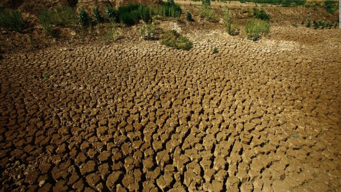 IGAD, FAO call for urgent action to mitigate the impacts of drought across the Horn of Africa