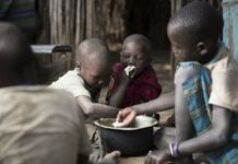 Kenya, Botswana embarks on addressing malnutrition challenge Kenya, Botswana embarks on addressing malnutrition challenge