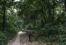 Landmark US $500M agreement launched at COP26 to protect the DR Congo’s Forest Landmark US $500M agreement launched at COP26 to protect the DR Congo’s Forest