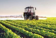 Tanzania receives US $200M for agri-transformation Tanzania receives US $200M for agri-transformation