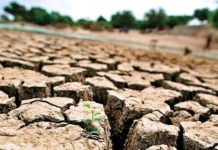 Igad and UN appeal for drought relief in Horn of Africa Igad and UN appeal for drought relief in Horn of Africa