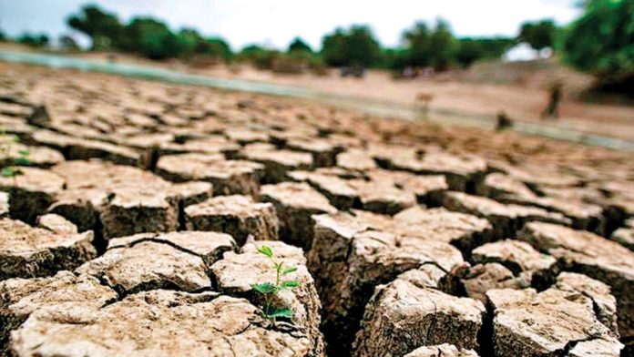 Igad and UN appeal for drought relief in Horn of Africa
