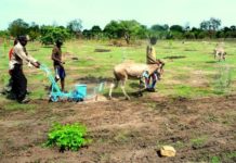 Agriculture Workers Association holds annual congress Agriculture Workers Association holds annual congress