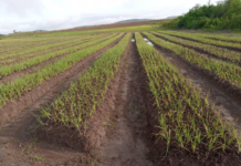 Farmers In Niari To Benefit From Agri Resources Cold Storage Facility