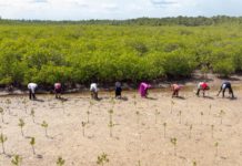 IFAD Goodwill Ambassadors Idris and Sabrina Elba attend COP26 to advocate for increased investments in climate adaptation and biodiversity protection