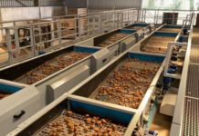 TOMRA Food to demonstrate standard-setting potato sorting machine at BP2021