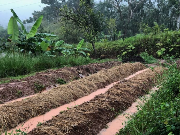 Farmers in Kenya counter climate change effects with use of water harvesting