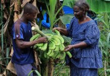 President Ouattara of Côte d’Ivoire and IFAD President Gilbert F. Houngbo to discuss investing in small-scale farmers to eradicate hunger and poverty