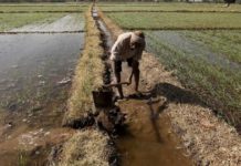 Benin unveils agricultural financing plan for 2021-30 Benin unveils agricultural financing plan for 2021-30