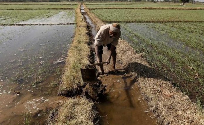 Benin unveils agricultural financing plan for 2021-30