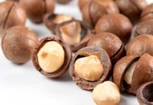 TOMRA Food partners with Golden Macadamias, the world’s largest macadamia processor