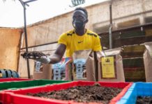 Kenyan entrepreneurs find fortunes in insect feeds