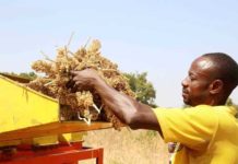 Bopinc and Village Capital launch landmark studies on the potential of circular agribusiness in Ethiopia and Kenya