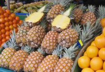 Benin registers first protected geographical indication Benin registers first protected geographical indication