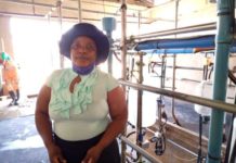 Zimbabwe dairy farmers scale greater heights with EU funding