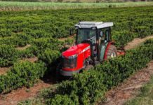 Massey Ferguson launches the MF 3300 narrow-width tractor for the orchard and vineyard market for South Africa