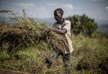 Kenya keen on transforming smallholder agriculture into modern sector Kenya keen on transforming smallholder agriculture into modern sector